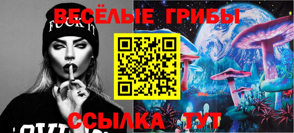 Галлюциногенные грибы прущие грибы  Вход с VPN  Семёнов 